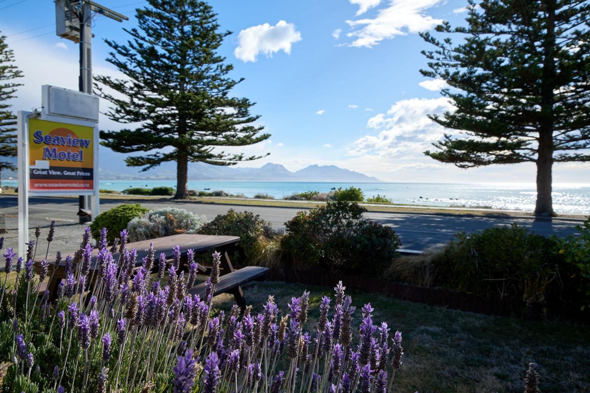 Sea View Motel - Unit 5 Kaikoura Ngoại thất bức ảnh